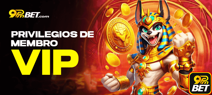 Download app 9pmbetvip Android iOS cassino apostas celular mobile